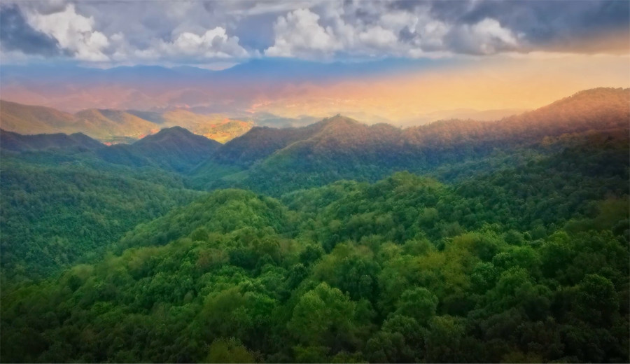 投资云南茶山案例