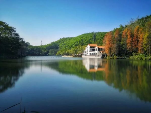 华为手机丝绢流水模式的多种有趣玩法